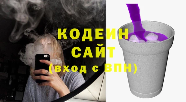 гидра Ельня