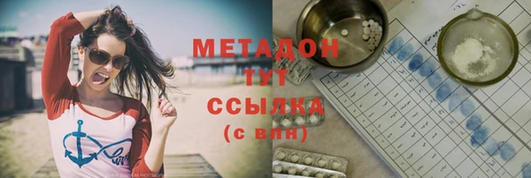 гидра Ельня