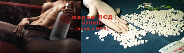 гидра Ельня