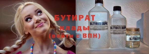 гидра Ельня
