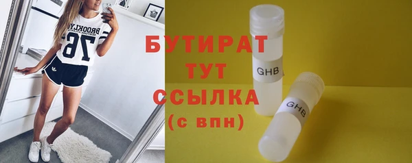 гидра Ельня