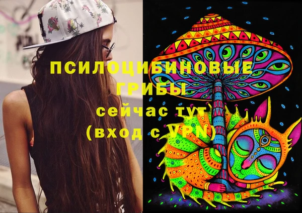 гидра Ельня