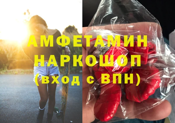 гидра Ельня