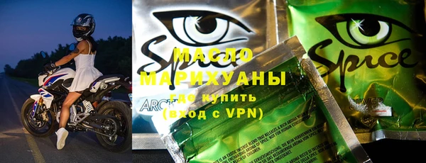 гидра Ельня
