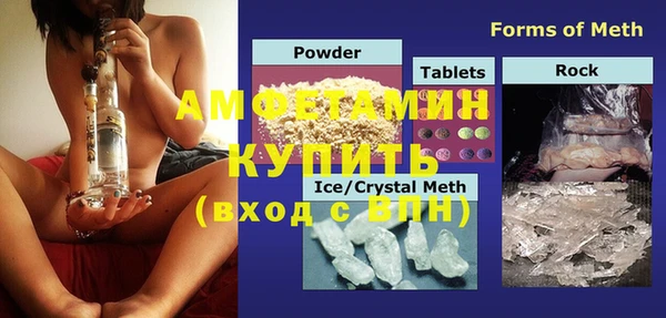 гидра Ельня