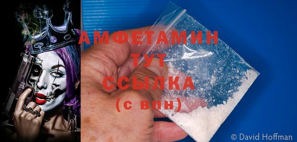 гидра Ельня