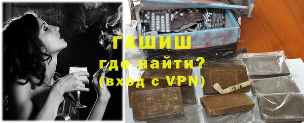гидра Ельня