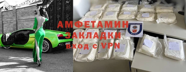 гидра Ельня