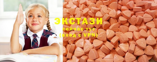 гидра Ельня