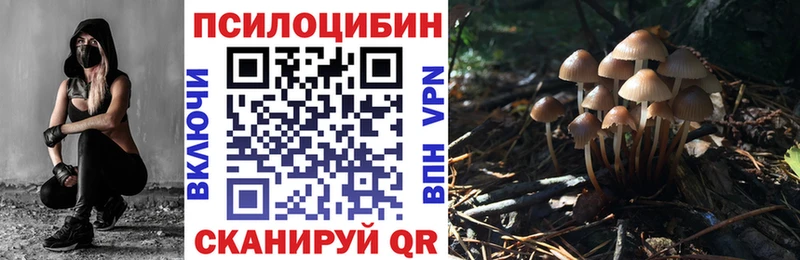 закладки Жуковка ОМГ ОМГ зеркало Псилоцибиновые грибы Psilocybine cubensis